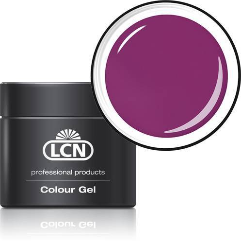 LCN Farbgel 20605-VI violet